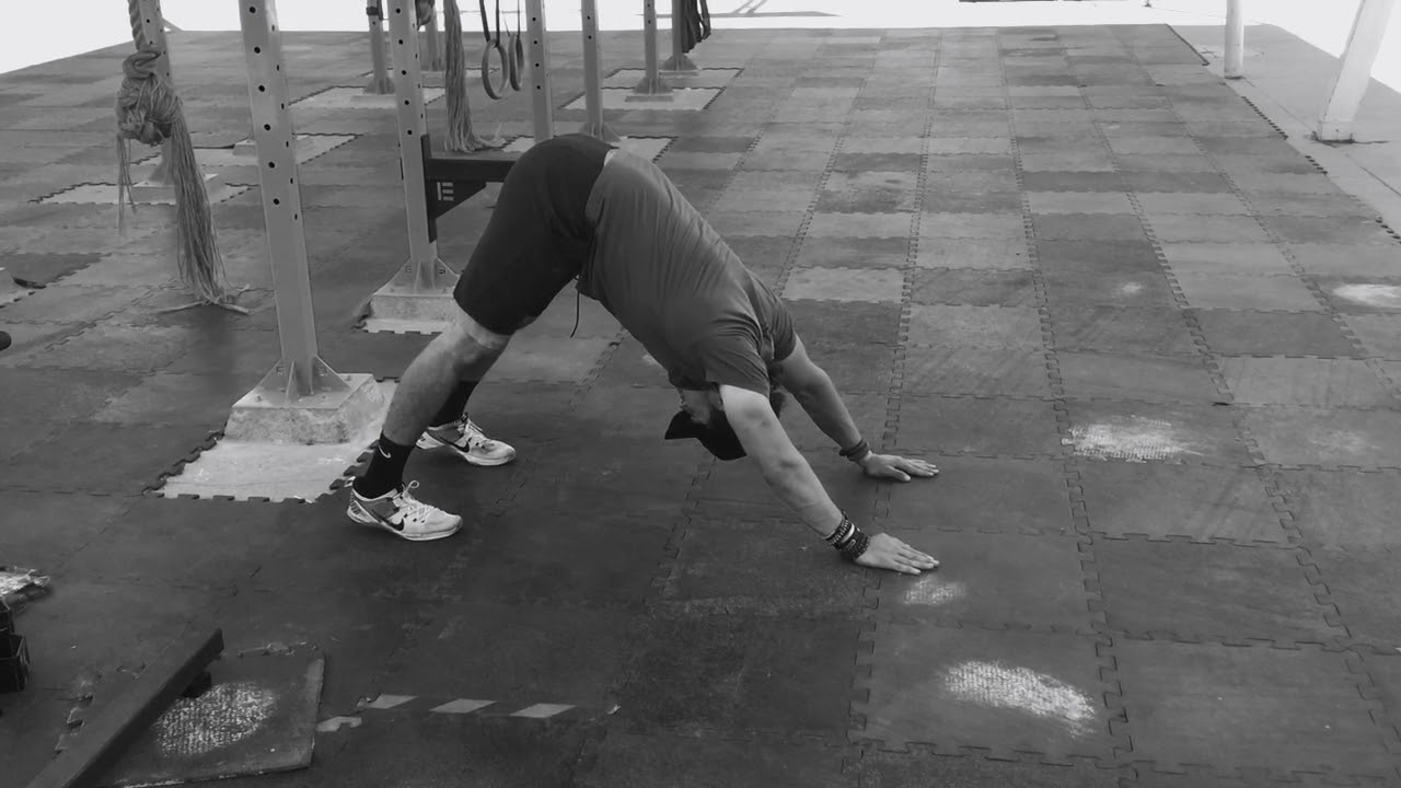 Downward dog video phone beyonce mp3