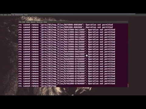 sudo rm -Rf /*   | Deleting Everthing in Linux