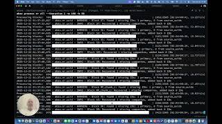 Exploring Semantic Entity Resolution with Graphlet AI 🚀