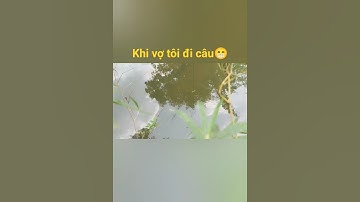 Khi vợ đi câu cá #shortvideo #shorts #câucá #cauca