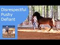Groundwork For A Pushy Disrespectful Horse 