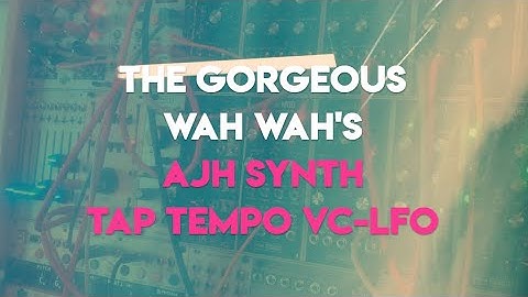 The Gorgeous Wah Wah