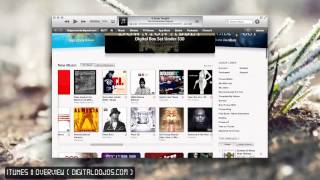 Overview: iTunes 11