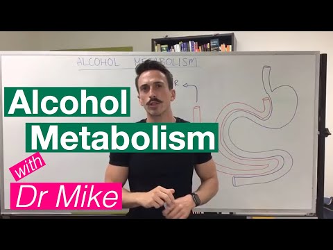 Video: Kai alkoholis metabolizuojamas?
