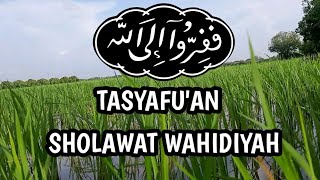 Tasyafua' Sholawat Wahidiyah penyejuk hati