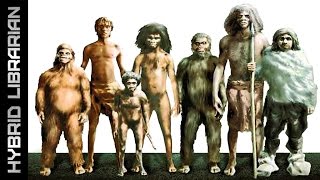 10 Mysterious Extinct Human Species