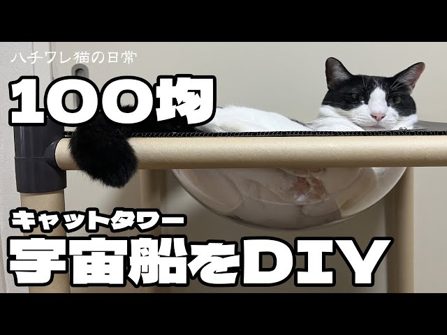 100均グッズとクリアボウルで作るキャットタワーNEW!
