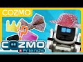 Love It, Couldn’t Wear It | Cozmo Minis