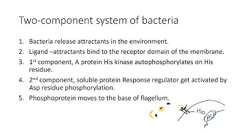 Two component system of Bacterial signaling