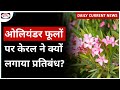 Kerala Ban Oleander Flower | Oleander Plant I UPSC - Daily Current News | Drishti IAS