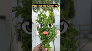 Pudina v/s dhaniya 😇#shorts #youtubeshorts #tirimurti108