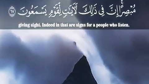 تلاوه خاشعه لشيخ عبدالعزيز العامري