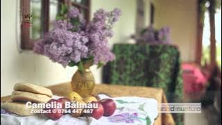 Camelia Balmau   O batrana se jeleste  HD pt You Tube