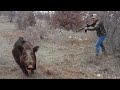 2017-18 Av sezonu yaban domuzu avlarım / Best Wild Boar 2017-18