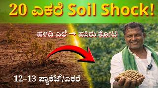 20 ಎಕರೆ ಮೇಲೆ ಬಂಪರ್ ಬೆಳೆ! ಹುಳು, ರೋಗ, ಗೊಬ್ಬರ ಖರ್ಚಿಲ್ಲ | Dr. Soil Success Story| Chickpeas farming