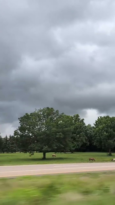 Before heavy Thunderstorm