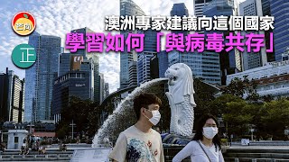 20210908F 澳洲專家建議向這個國家學習如何“與病毒共存”