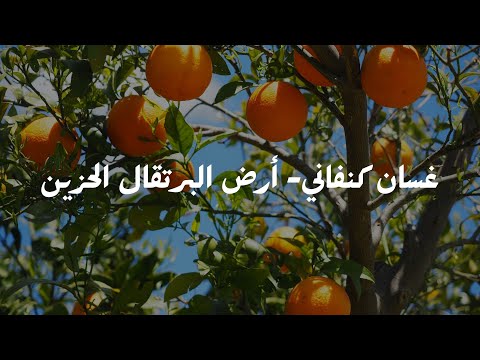 أرض البرتقال الحزين غسان كنفاني 