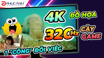 Đánh Giá Màn hình Gaming ViewSonic XG275D1-4K | Linh Hoạt Chuyển Đổi Giữa 4K/160Hz Và FHD/320Hz