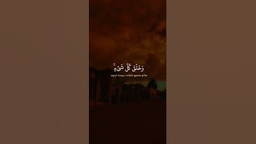 تلاوة خاشعة ومبكية من سورة البقرة - بديع السموات والارض