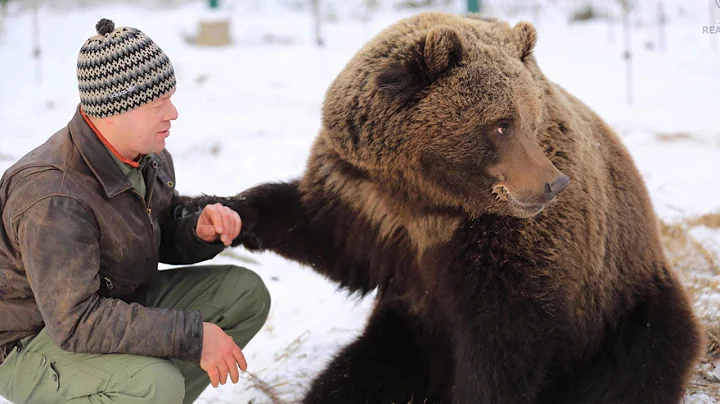 A pilot brought up a bear cub - Amazing story of friendship between a bear and a man - DayDayNews