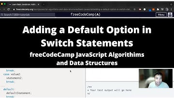 Adding a Default Option in Switch Statements (Basic JavaScript) freeCodeCamp tutorial