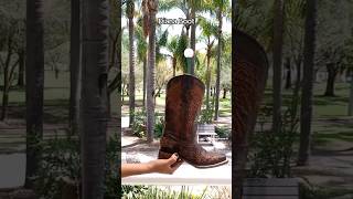 🤑Can't miss this 🤯 #silverton #westernboots #western #leatherboots #cowgirl #cowgirlboots