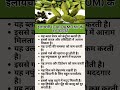 “Elaichi Benefits”, Elaichi khane ke fayde #ytshorts #shortsfeed #shorts #shortvideo