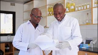 Our Aflatoxins Testing Process