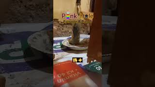 Inilah balihonya yg sdh acaranya untuk berguna (Eps 8 Pt 3)