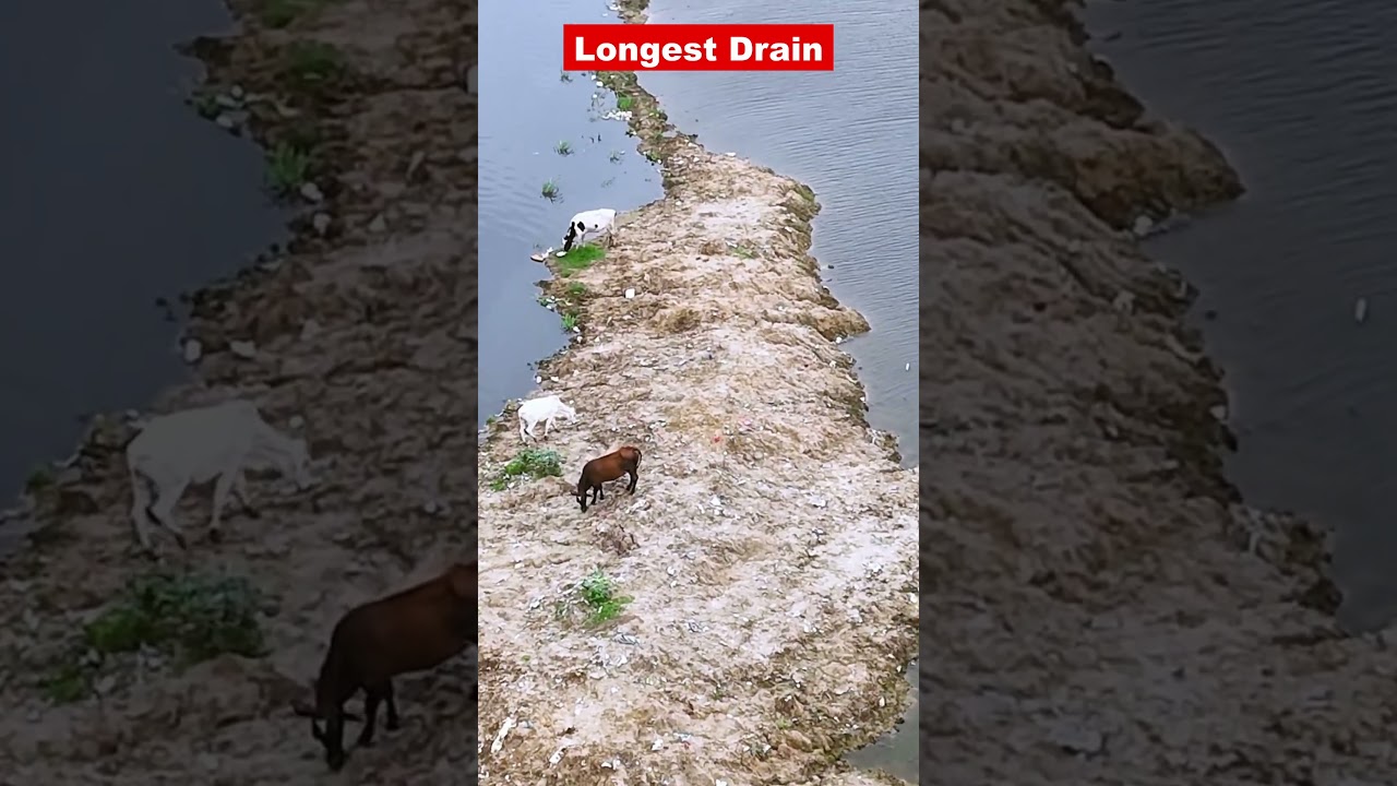 mission delhi clean-up 2025 update short