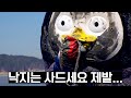 (ENG) 갯벌지옥에서 개뻘짓 [EP.176]