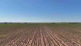 62.76 Acres For Sale in Lubbock County, TX