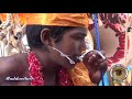 Jaffna Nallur kandaswamy kovil Thukku kavady 20-8-2017 Video - 2/ நல்லூர் கந்தன் துக்கு காவடிகள்