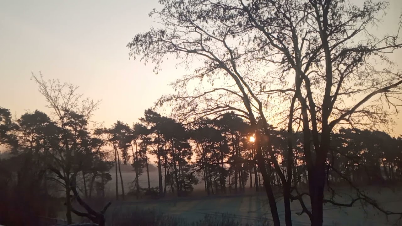 Mein Kurs in Wundern 54