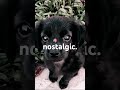 This vid looks so childish.im crine😭🥀 #nostalgia #nostalgic #cute #viral #video #shorts #music