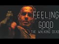 feeling good ▪ the walking dead