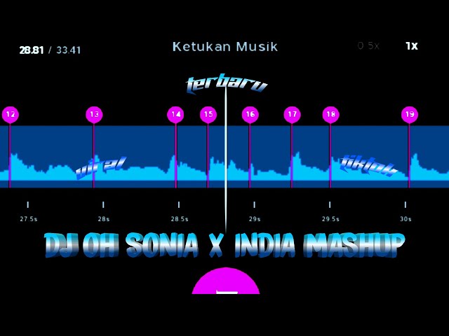 DJ OH SONIA X INDIA MASHUP VIRAL TIKTOK😍STORY WA BEAT VN 30 DETIK🎶🔥 class=