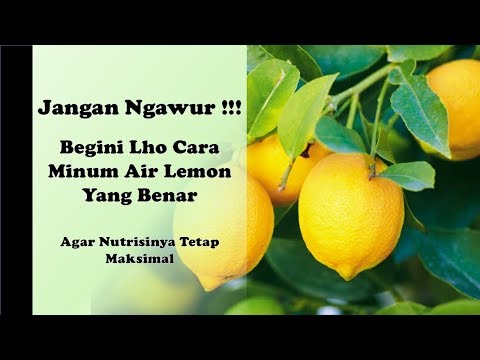 Video: Lemon: Sifat Dan Cara Konsumsi