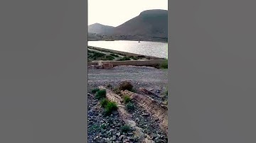 309* سورة الفاتحة #سعد الغامدي #