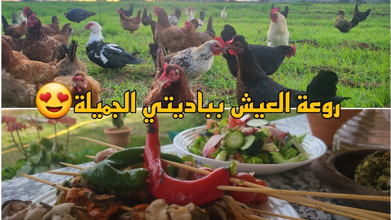 الباديةوسحرفصل الشتاءبها😍بلح البحر(بوزروك)مع سمك القرش🐚🐟 بتثبيلة رهيبة ولذيذة مصحوبة بالخضر المشوية😋