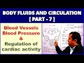 Body Fluids and Circulation for NEET | Part 7 | Blood Vessels, Blood Pressure &amp; Regulation