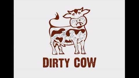 Dirty COW Docker Escape