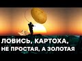 ГОЛОДНАЯ ОСЕНЬ на Донбассе: как выжить, если шансы на нуле — Гражданская оборона на ICTV