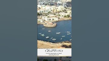 من أجمل التلاوات / الشيخ ياسر الدوسري