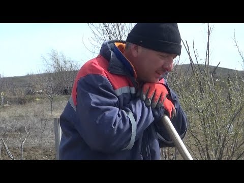 ვერხვების დევნილთა დასახლებაში მცხოვრებლები ნაკვეთების დაკანონებას ითხოვენ 26.02.2019