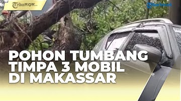 Pohon Tumbang Depan RS Labuang Baji Makassar Timpa 3 Mobil