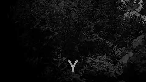 MYSQFLX - Regen / Synth-Pop Sound-Study with Digitone, Digitakt and Blofeld Waldorf