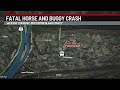 Two children dead after car collision with horse-drawn buggy | 28/22 News