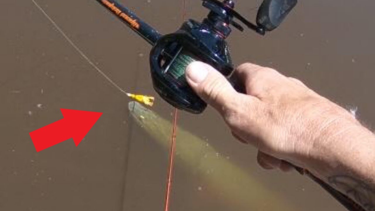 Fishing A Duck Lure For MONSTER Alligator Gar In Flooded Creek YouTube